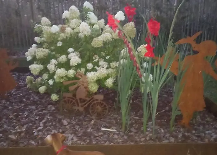 Le Relais De * Chassepierre